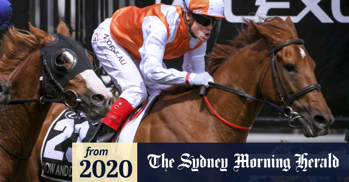 'He's just a really good racehorse' Vow And Declare could cause shock